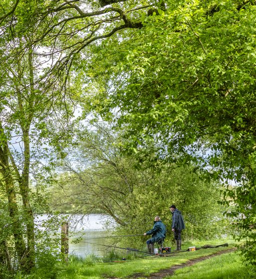 Étang de pêche la Coudraie