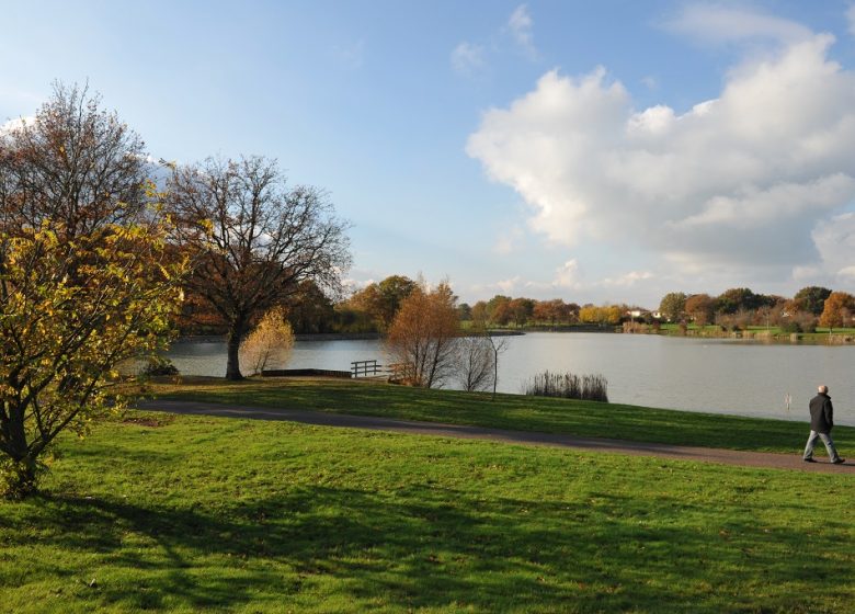 Aire de pique nique de l’Etang de la Croix Verte