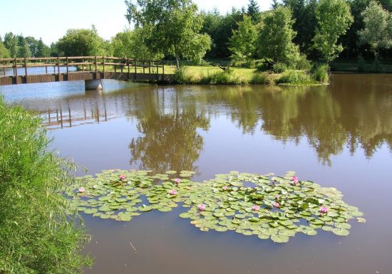 Pêche dans l’étang de la Foucaudière