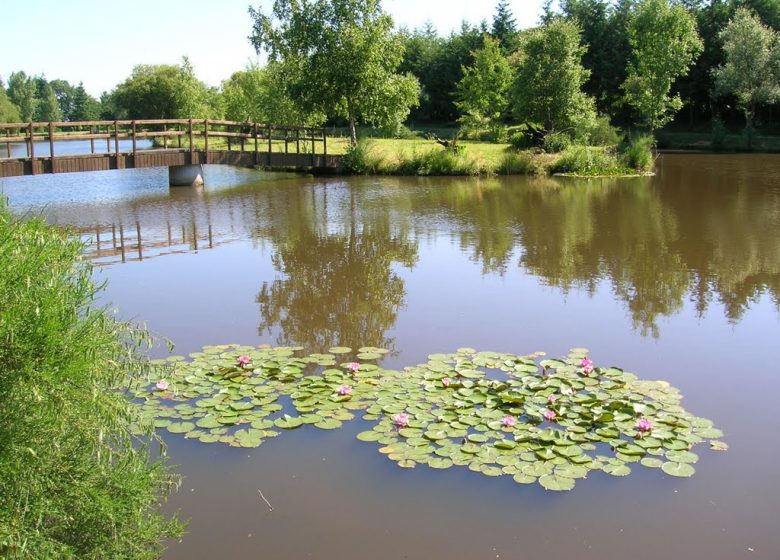 Pêche dans l’étang de la Foucaudière