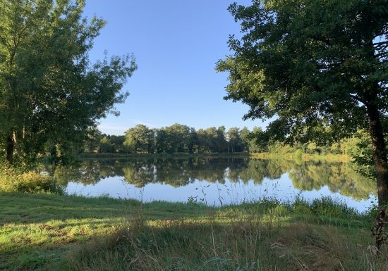 Etang de pêche de la Gourmenière