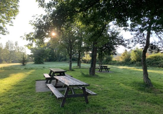 Etang de pêche de la Gourmenière