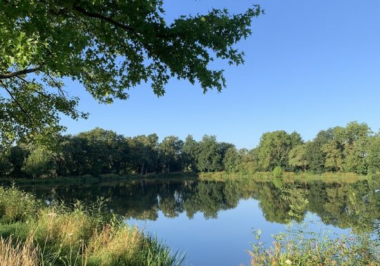 Etang de pêche de la Gourmenière