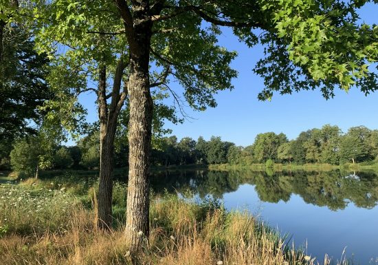 Etang de pêche de la Gourmenière