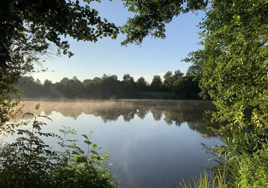 Aire de pique-nique de l’étang du Gué