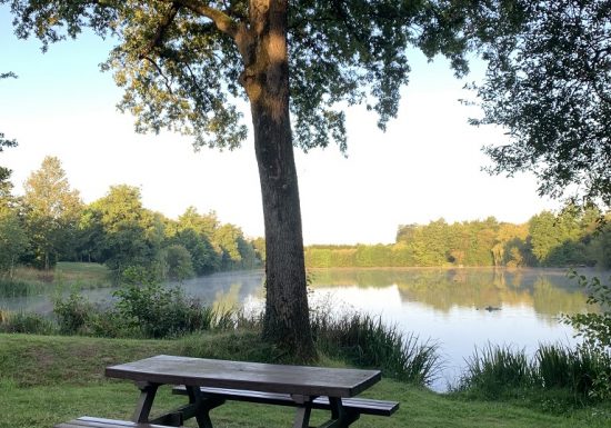Aire de pique-nique de l’étang du Gué