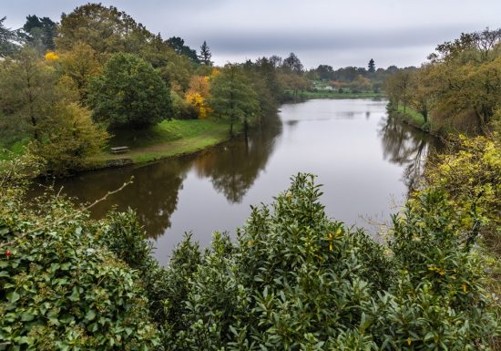 Pêche sur l’étang de Rochefort