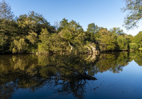 Pêche sur l’étang de Rochefort