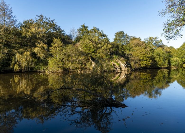 Pêche sur l’étang de Rochefort