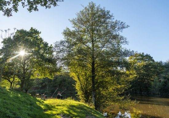 Pêche sur l’étang de Rochefort