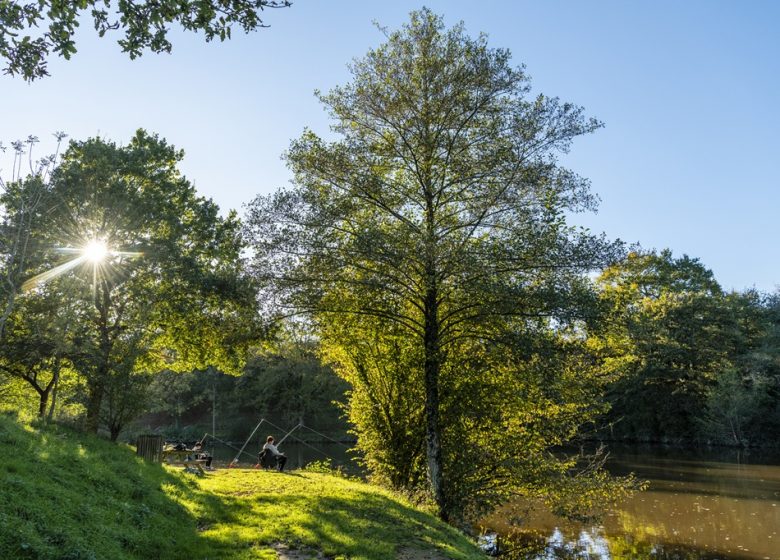 Pêche sur l’étang de Rochefort