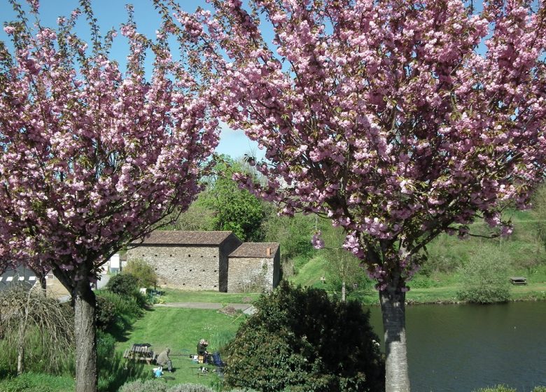 Pêche sur l’étang de Rochefort