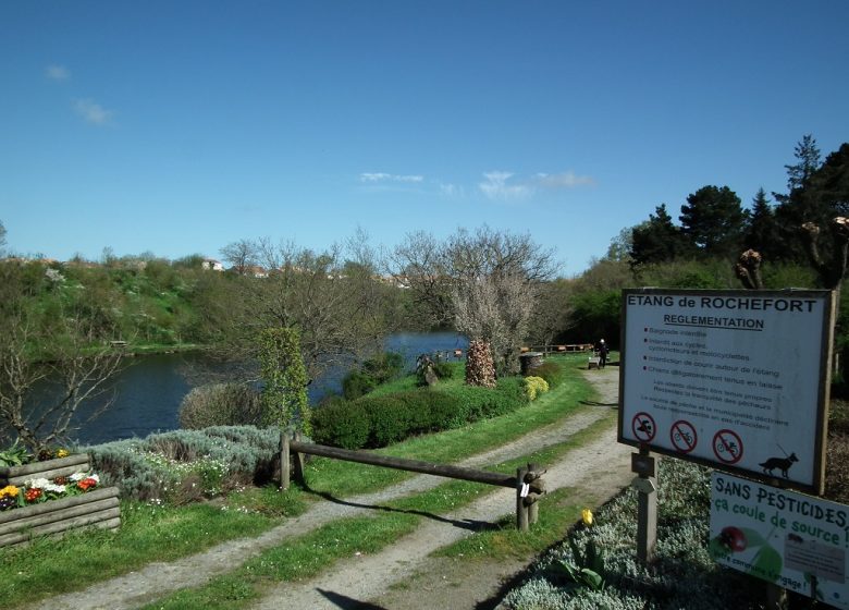 Pêche sur l’étang de Rochefort