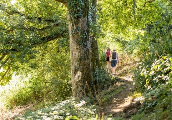 Randonnée “Le gallo-romain sylvanois”