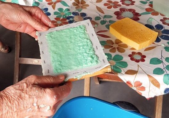 Immersion végétale au fil des saisons