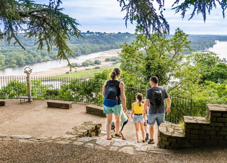 La Loire à Vélo, de Champtoceaux à Mauves-sur-Loire