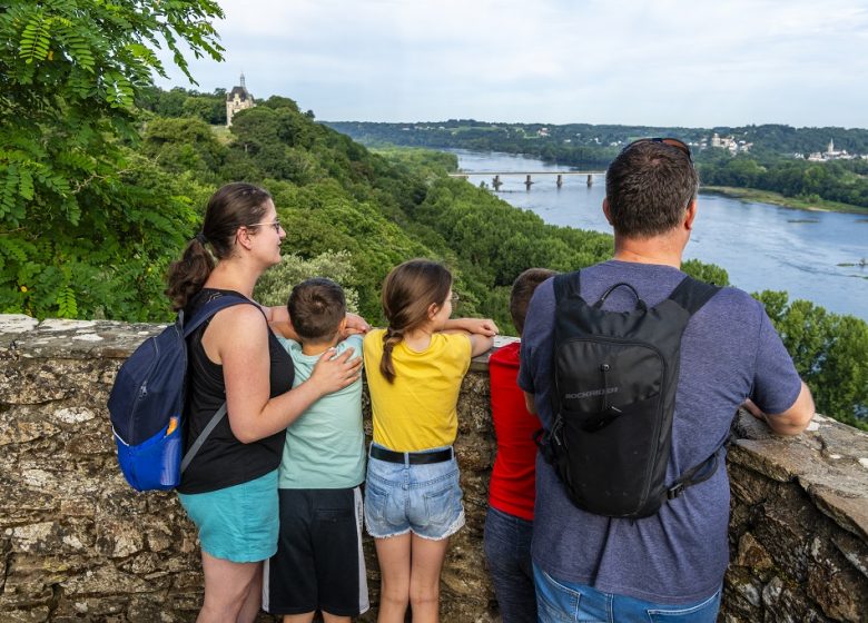 Panorama sur la Loire Le Champalud