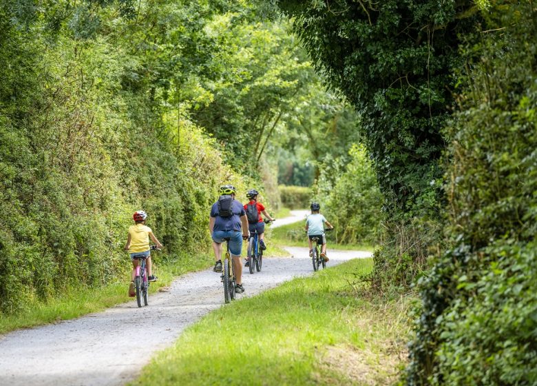 La Loire à Vélo, de Saint-Florent-le-Vieil à Champtoceaux