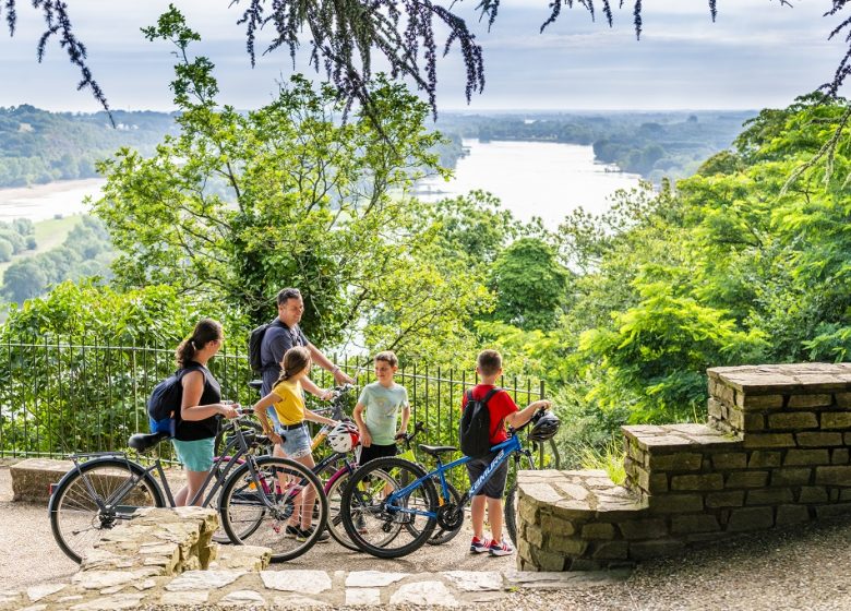 La Loire à Vélo, de Champtoceaux à Mauves-sur-Loire