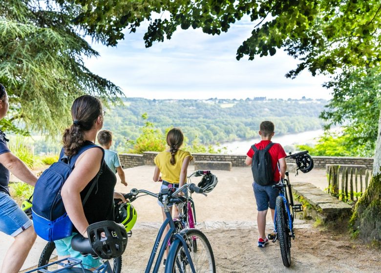 La Loire à Vélo, de Champtoceaux à Mauves-sur-Loire