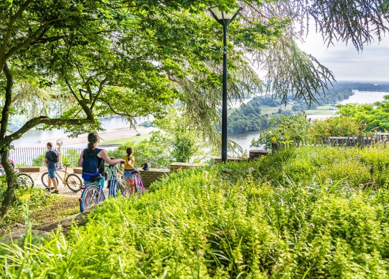 Panorama sur la Loire Le Champalud
