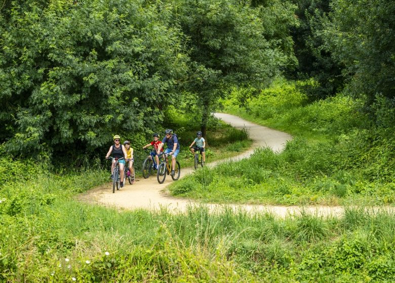 La Loire à Vélo, de Champotceaux à Liré “Entre boire et histoire”