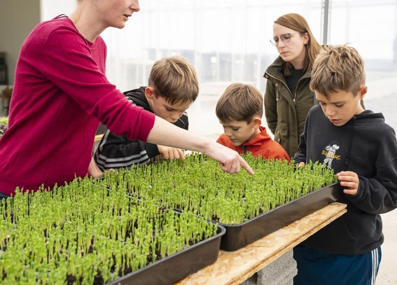 FERME MICROPOUSSE IL ÉTAIT UNE GRAINE