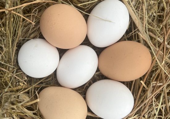 La ferme Partages