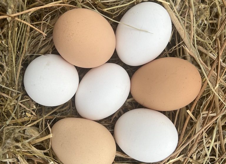 La ferme Partages