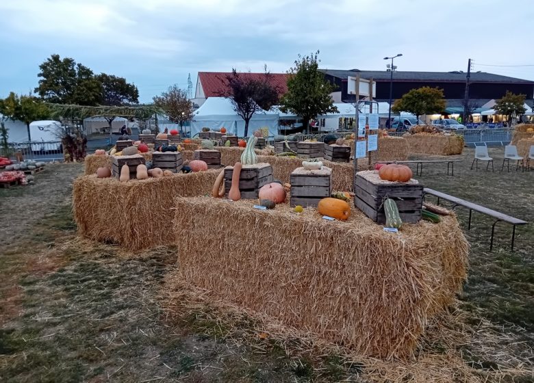 Marché aux Cucurbitacées : 26ème édition