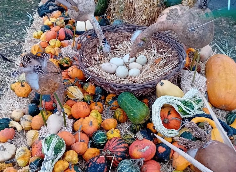 Marché aux Cucurbitacées : 26ème édition