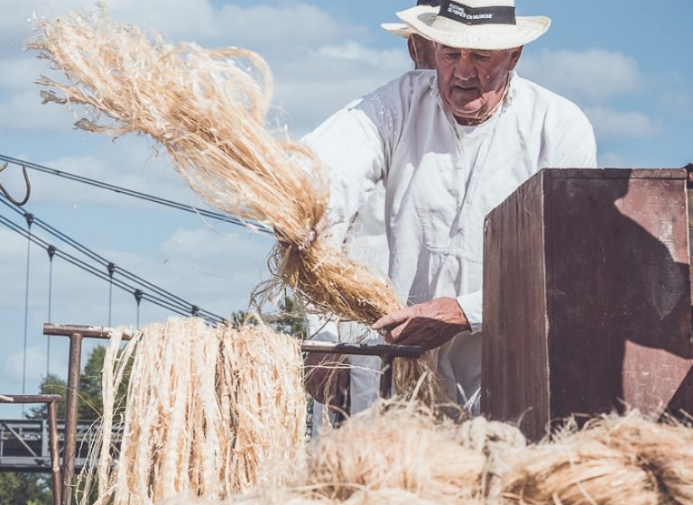 28 ÈME FESTIVAL DE FIBRES EN MUSIQUE À MONTJEAN-SUR-LOIRE