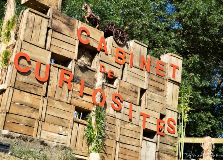 28 ÈME FESTIVAL DE FIBRES EN MUSIQUE À MONTJEAN-SUR-LOIRE