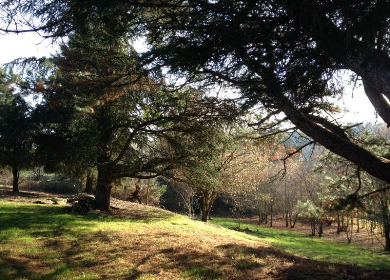 Aire d’accueil de campeurs des Hautes Herbes