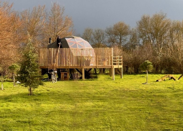 Géode étoilée en bord de Loire