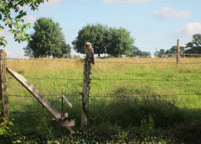 Gîte Au Petit Bonheur