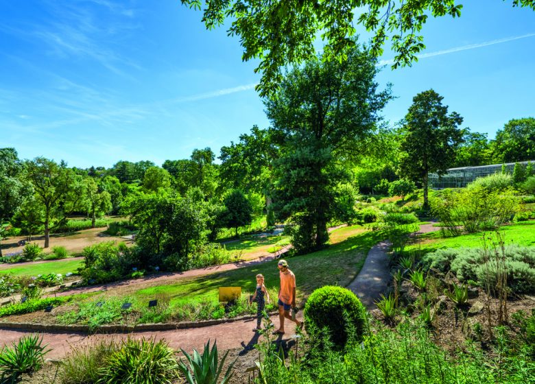 Immersion végétale au fil des saisons
