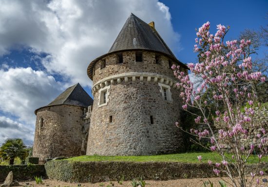 Randonnée “Loire et coteaux”