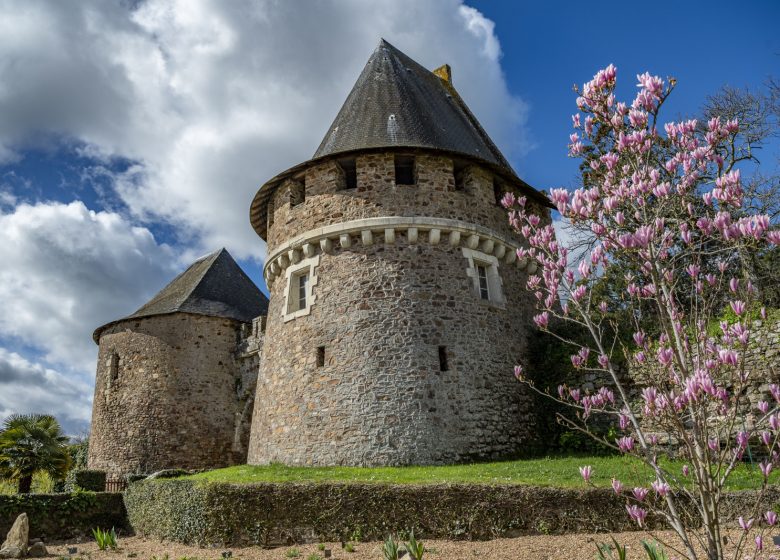 RANDONNÉE LOIRE ET COTEAUX À CHAMPTOCEAUX