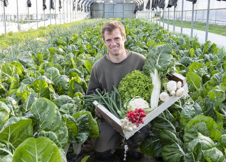La Ferme du Cormier, maraicher biologique