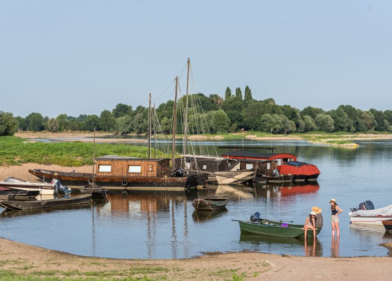 Route des vins – Loire sauvage et corniche angevine