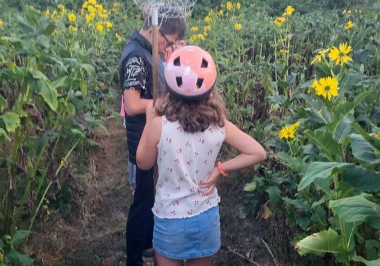 Labyrinthe au Camping La Guyonnière