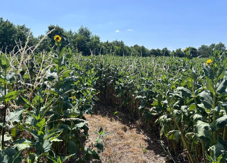 Sortie à la Guyonnière – Centre Social Val’Mauges