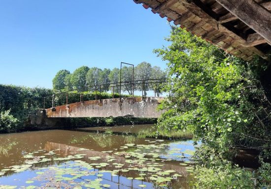 Aire de pique-nique du Parc du Château