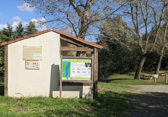 Pêche au Corneau à La Boissière-sur-Evre
