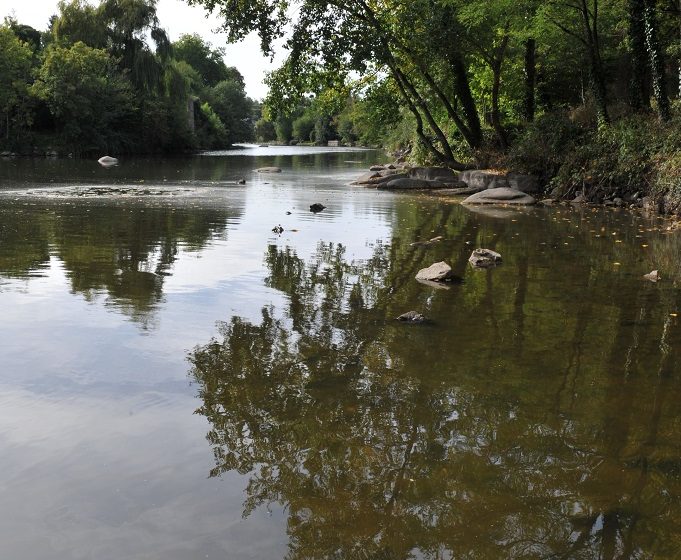 Pêche au chemin du Foulon