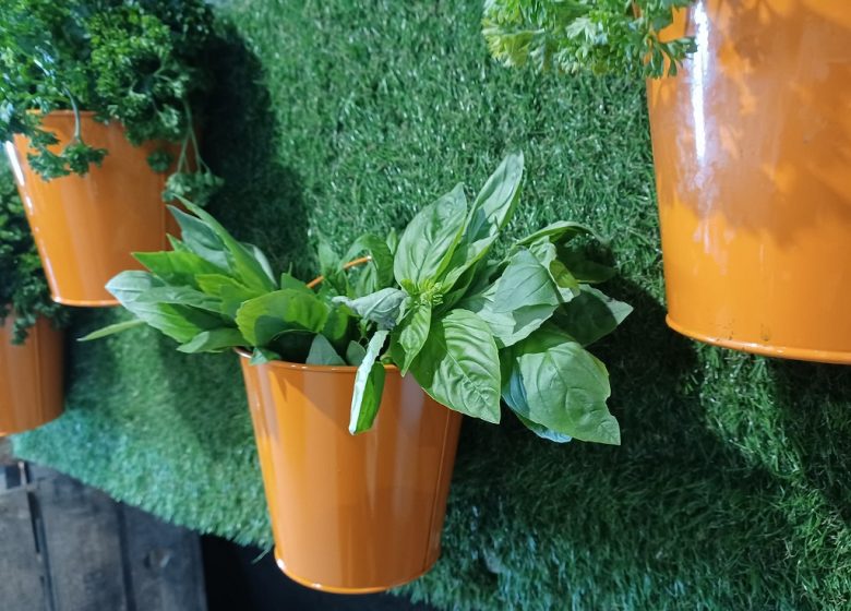 Le Potager des Mauges, magasin à la ferme
