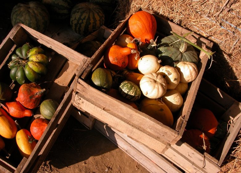 Ferme de La Corbière