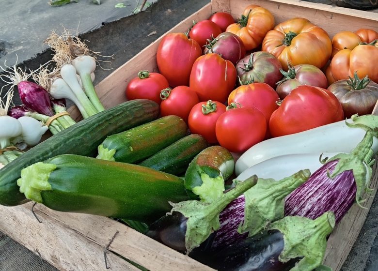 La Ferme du Cormier, maraicher biologique
