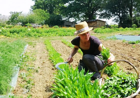 Les Jardins de Gogane